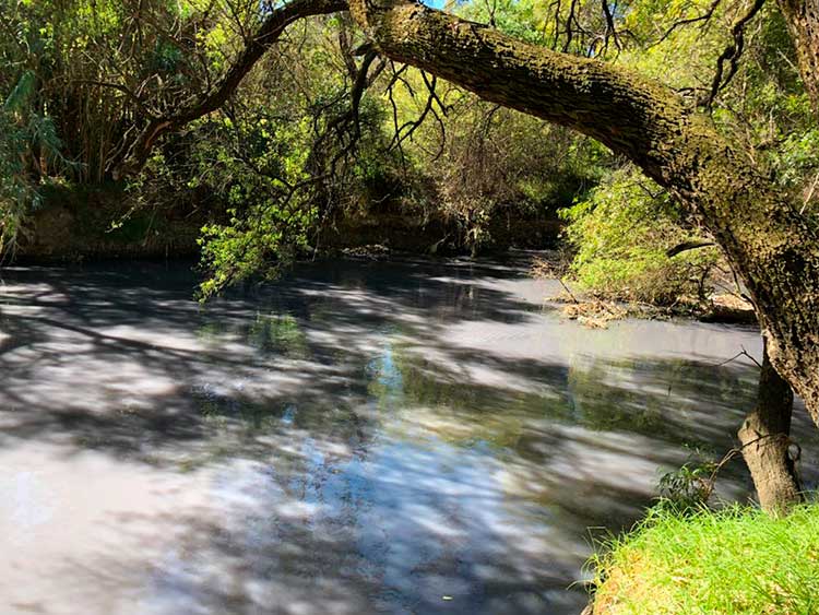 En riesgo salud de 150 mil tlaxcaltecas por contaminación de río