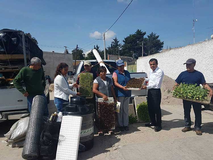 Huertos para familias de Cuapiaxtla para empleo e ingreso extra
