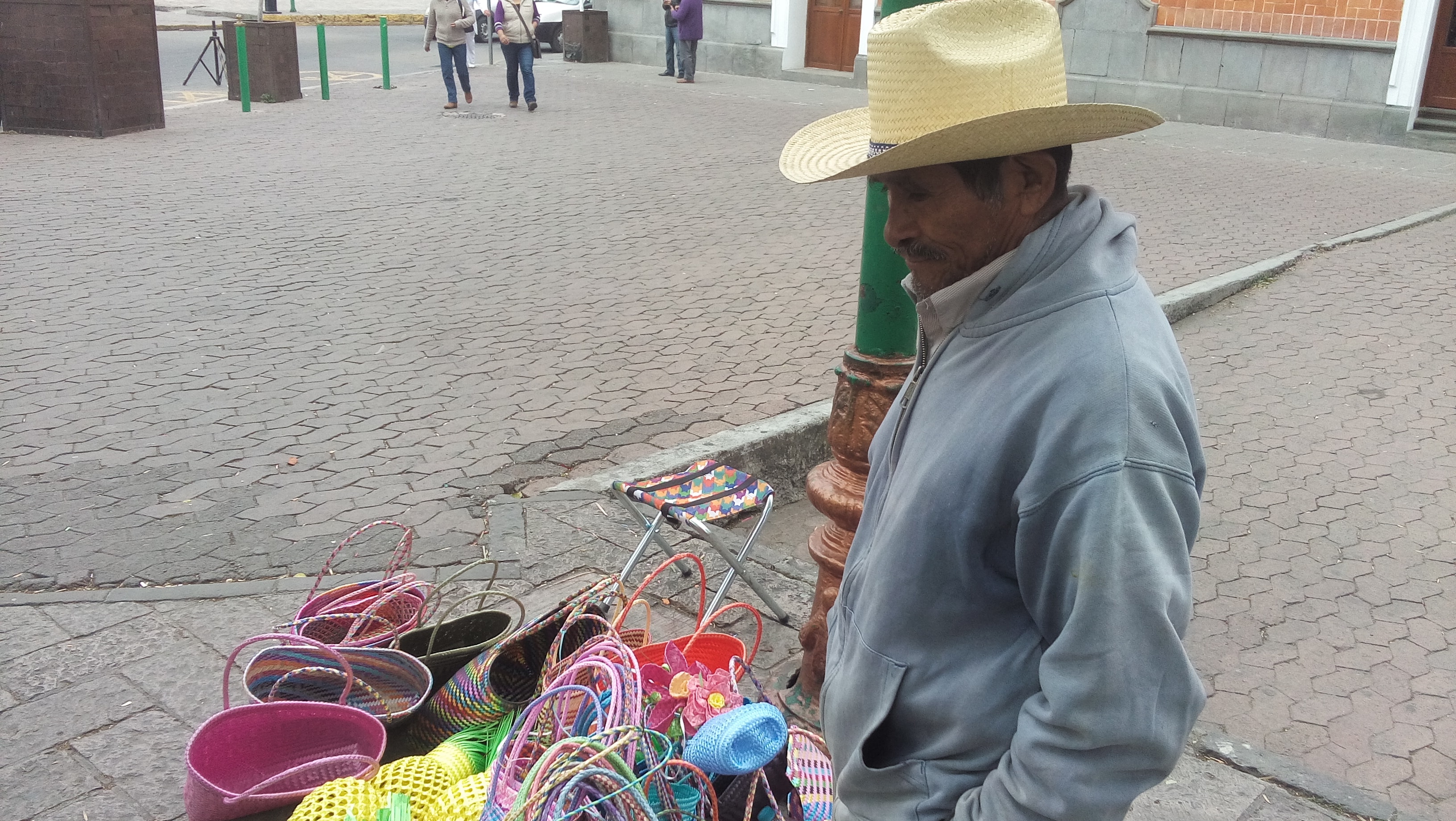 El arte de la Palma sintética: la cara de la pobreza en México.
