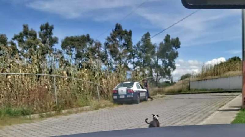 Con patrulla policías borrachos de Teolocholco causan destrozos