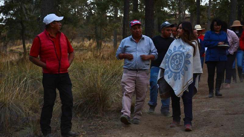 Recorre Secture centros de avistamiento de luciérnagas en Calpulalpan