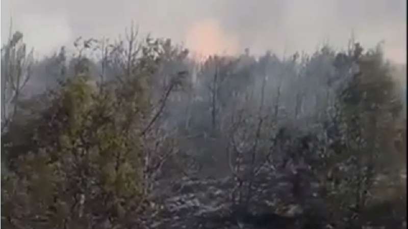 Un incendio sin control devora mil hectáreas de zona boscosa en Lázaro Cárdenas, falta de equipo fue crucial