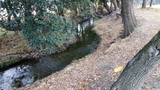 En Apizaquito ya resienten desabasto de agua, preocupación y enojo en habitantes que piden se arregle esta problemática 