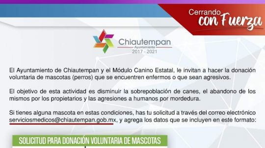 Tachan a gobiernos de Chiautempan y Apetatitlán de insensibles y retrógradas por campañas de donación de perros 