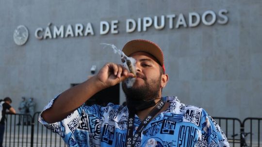 Diputados discuten en el pleno uso lúdico de mariguana