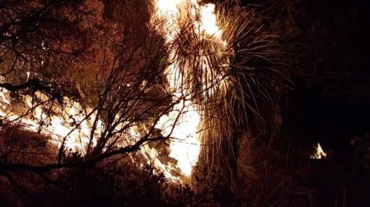 Fuego consumió el cerro Tlacaxolo 