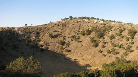 Amenazadas especies naturales en cerro de Ixtenco, emprenden acciones para conservar plantas en peligro de extinción