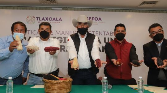 Presenta Sefoa proyecto para reconvertir la agricultura tradicional a organica