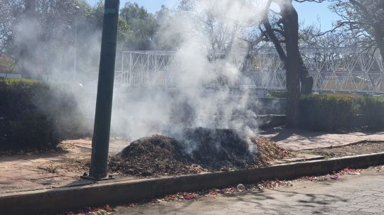 Jorge Corichi solapa incumplimiento a reglamento de equilibrio ecológico, le piden asumir responsabilidad 