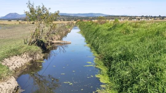 Contra enfermedades renales: instalarán 4 sistemas de purificación de agua en Texcalac 