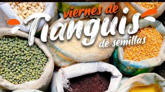 Invita ayuntamiento de Huamantla a viernes de tianguis de semilla