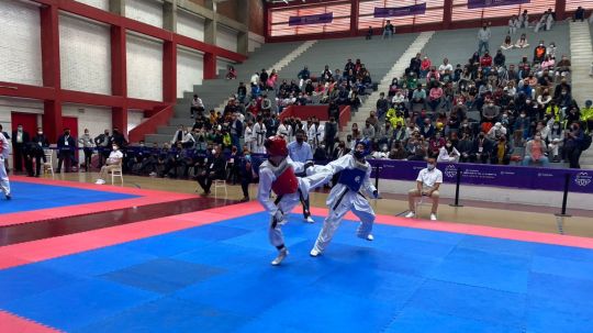 Finalizan con éxito regionales de Taekwondo y Ajedrez en Tlaxcala