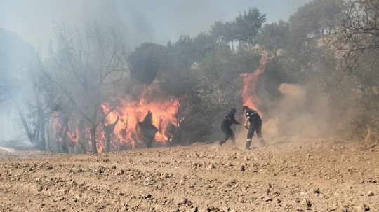 Atiende protección civil de Huamantla incendio en Tecoac