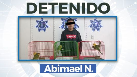 Detiene policía de Huamantla a personas que trasladaban ilegalmente animales en peligro de extinción