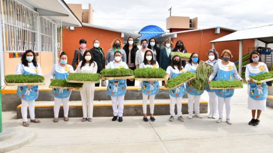 Entrega SMDIF Huamantla plántulas a instituciones educativas en la comunidad de Ignacio Zaragoza