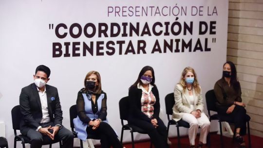 Presidió gobernadora Lorena Cuéllar presentación de la coordinación de Bienestar animal 