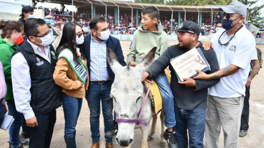 Arranca con gran emoción la Feria de Huamantla con el festival de los burros