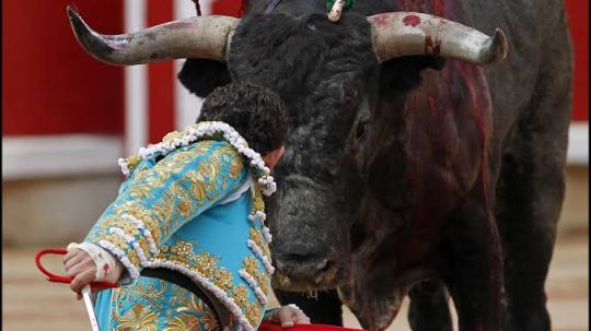 Desde todos los frentes y ante embates, desde Tlaxcala proclaman lucha por tauromaquia