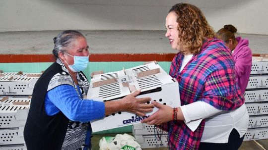 Se benefician más de 180 familias con la entrega de paquetes de aves de traspatio en Huamantla