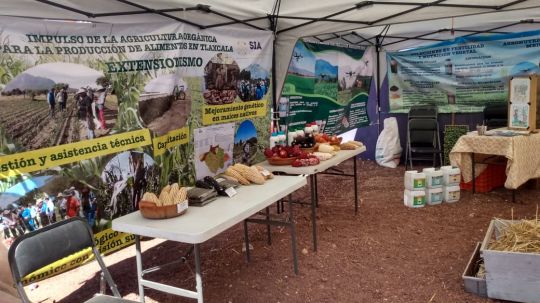 Fomentan en Tlaxcala agricultura orgánica 