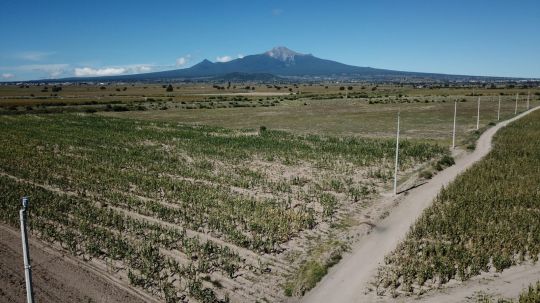 Invita ayuntamiento de Huamantla y SIA a productores a realizar su análisis de suelo