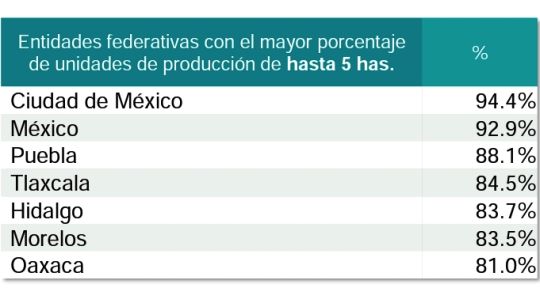 Actividad agrícola no se reduce en Tlaxcala, de las entidades que tienen el mayor porcentaje de unidades de producción
