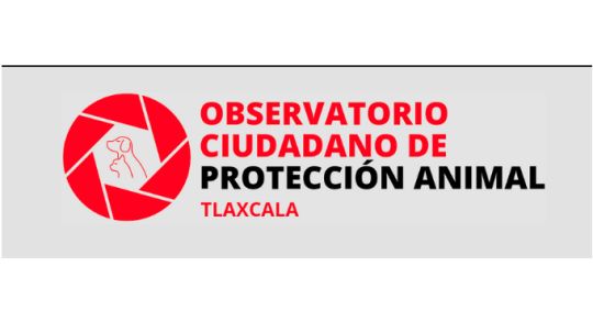 Falla en Tlaxcala educación y cumplimiento a ley en protección animal 