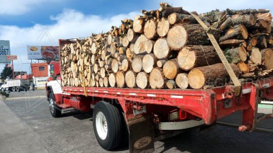 Detiene policía estatal a responsable de transporte ilícito de material forestal