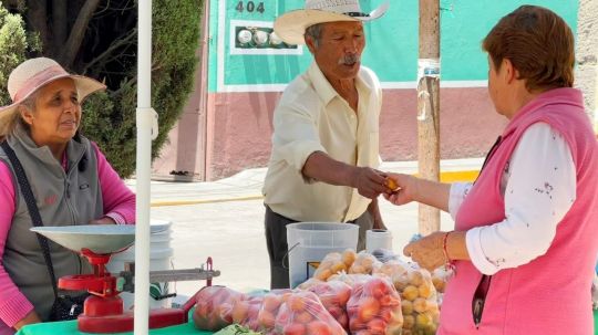 Continúa ayuntamiento de Huamantla apoyando a productores locales en el tianguis mis semillas huamantlecas