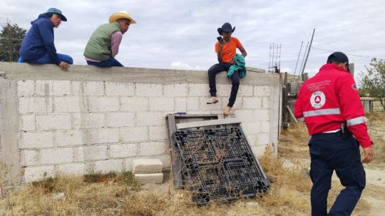 Previene seguridad pública de Huamantla incidentes mayores en tienta de vaquillas