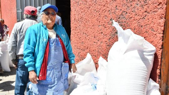 Entrega Salvador Santos Cedillo bultos de semillas de avena a más de 700 productores Huamantla