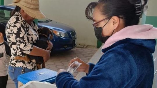 Sector salud de Tlaxcala aplica vacunación antirrábica para perros y gatos