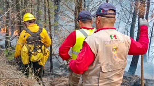 Medidas preventivas contra incendios forestales durante el periodo vacacional