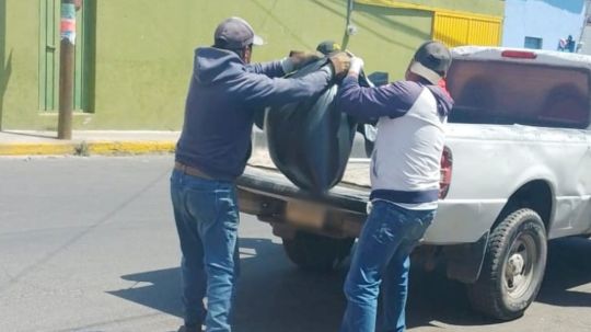 Gobierno municipal de Huamantla interpone denuncia ante la Propaet por envenenamiento a perros en situación de calle