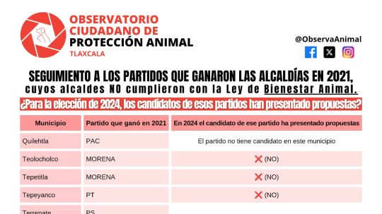 Exhiben a quienes ganaron en elecciones y no cumplieron con Ley de Bienestar Animal