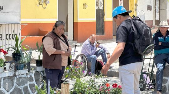 Descubre la riqueza del campo de Huamantla en el tianguis mis semillas huamantlecas