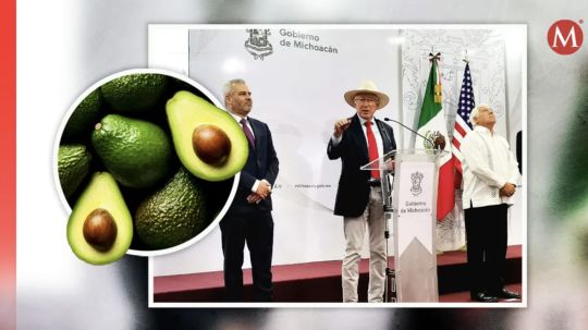 EU levanta veto contra aguacate y mango michoacano; pacta con México modelo de seguridad
