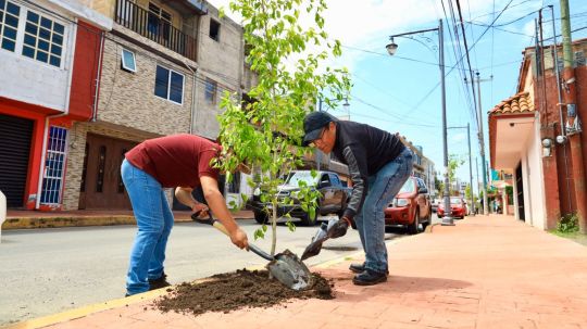 Ayuntamiento de Chiautempan pone en marcha campaña de forestación