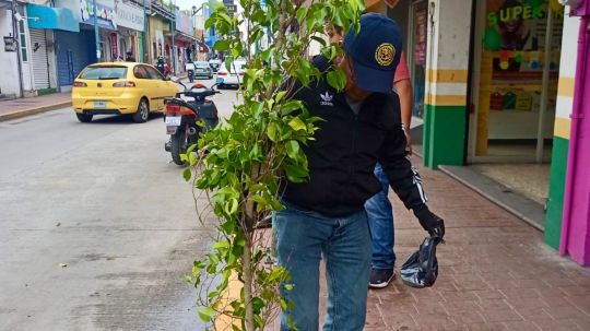 Ayuntamiento de Chiautempan invita a que te sumes a plantar un árbol y continuar con la campaña 1000 árboles