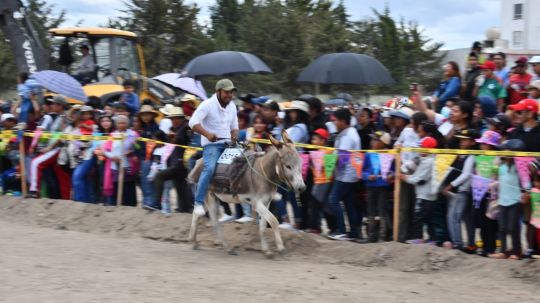 Inicia actividades de la feria de Huamantla 2024 con la gran carrera de burros