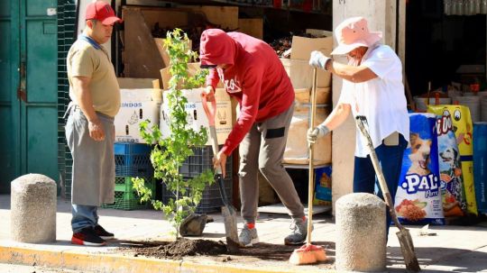 Con una buena participación se realizó la segunda parte de la campaña 1000 árboles para respirar en Chiautempan