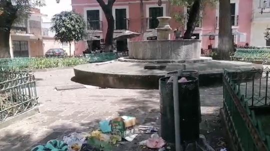 Demandan a nuevo alcalde capitalino atender basura en parque