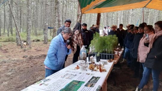 Afianzan vinculación con comunidades de Tlaxco investigadores de la UATx