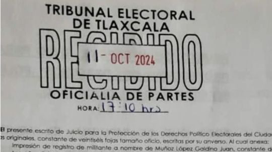 Panistas impugnan elección del presidente del CDE del PAN