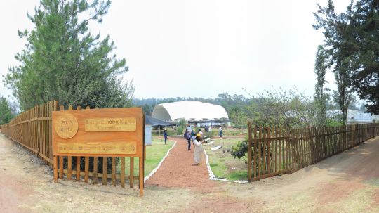 Organizan Conabio y UATx taller de monitoreo comunitario de aves en el Jardín Etnobiológico Tlaxcallan