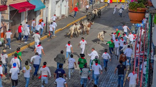 Se espera una gran semana de actividades lúdicas, musicales, culturales y taurinas en la aldea mágica 2024