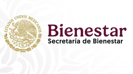 Separa del cargo delegación del Bienestar federal a servidora pública por maltrato