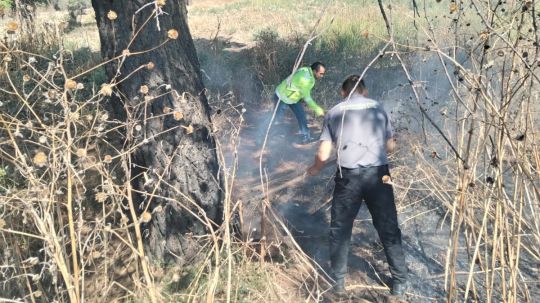 Protección Civil del Ayuntamiento de Tlaxcala atienden incendios de pastizales en Tlaxcala