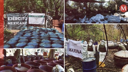 Desde noviembre desmantelan casi un narcolaboratorio al día