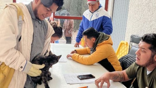 Con importante respuesta ciudadana inició gobierno de Huamantla campaña gratuita de esterilización canina y felina